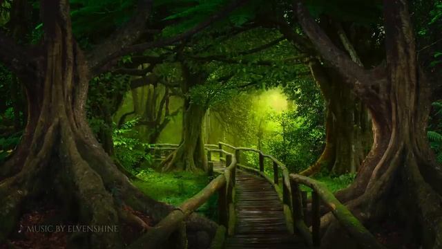 Enchanting Forest: Music For Relaxation ༄ Celtic Fantasy Music Instrumental 🌳 The Unfading Forest