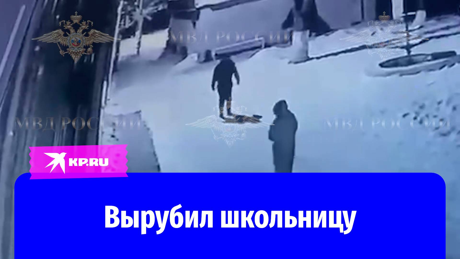 Мужчина без причины нокаутировал прохожую девочку в Краснокаменске