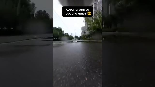 Погоня кота от первого лица