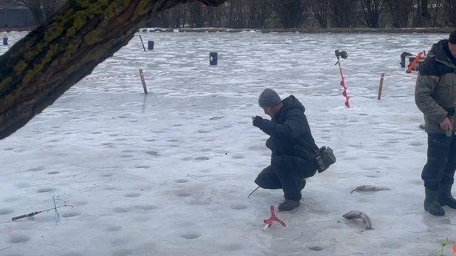 Поимки с водоема
