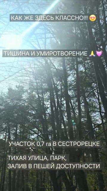 15 мая 2024 г.