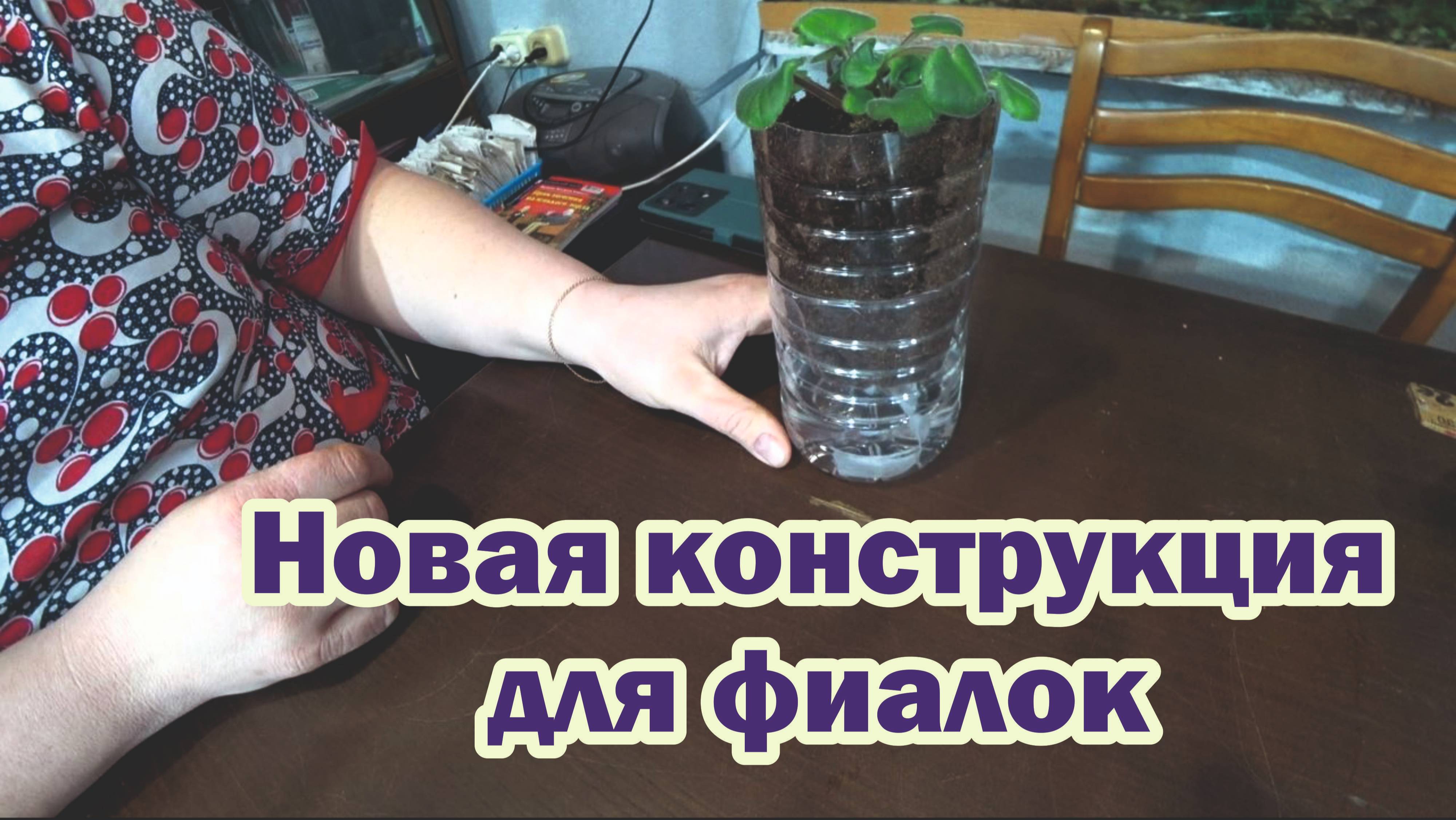 Как сделать из бутылок горшок для фитильного полива фиалок?
