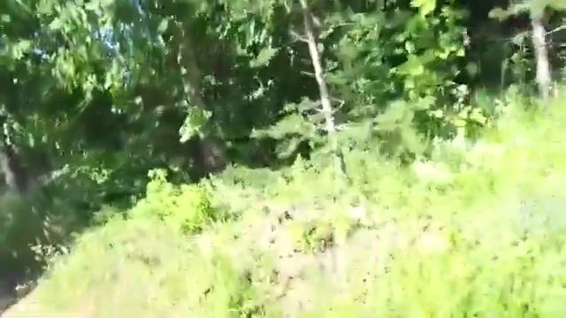 Дмитрий Гаврилкин - Прогулка По Заброшенным Огородам - 2022