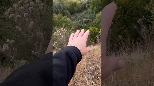 Пылевая буря в Таганроге. Опять...