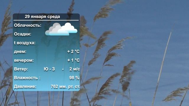 Погода на завтра. 28.01.2025