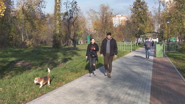 Осенний Иркутск 2019