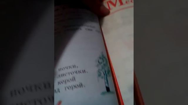 Обзор моего проекта по русскому языку