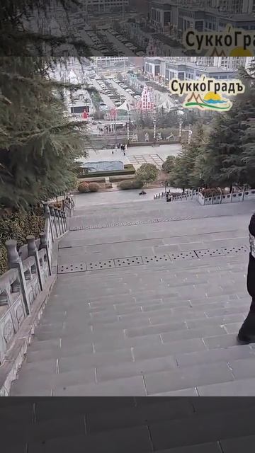 Медицинская страховка за 400 юаней куплена не зря
