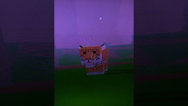 1000011044.mp4