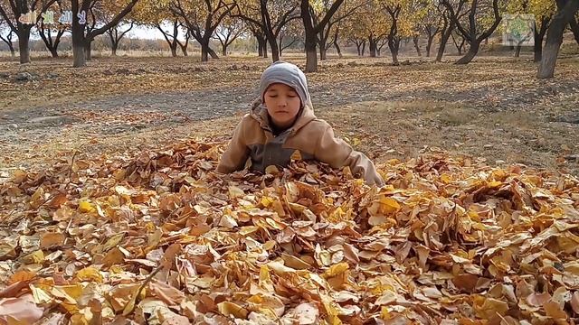 Мавсими хазонрез. Осеняя пора. Fall time. وقت الخريف. تیرماه زیبا وطن