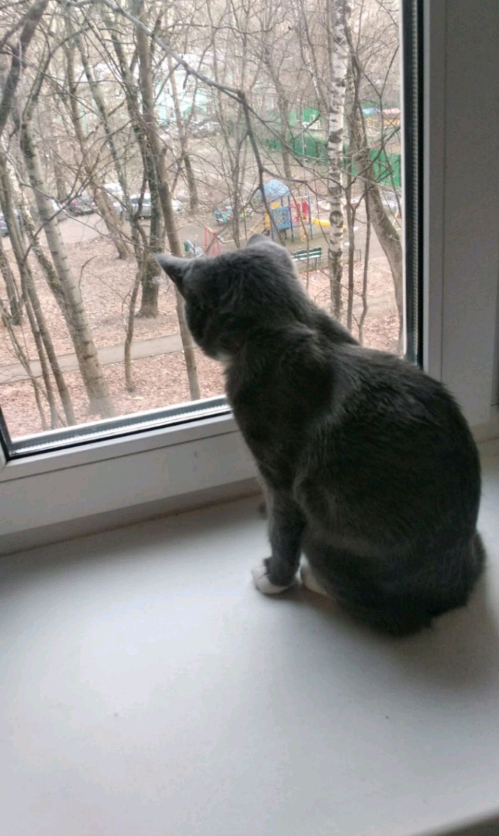 иду со школы домой