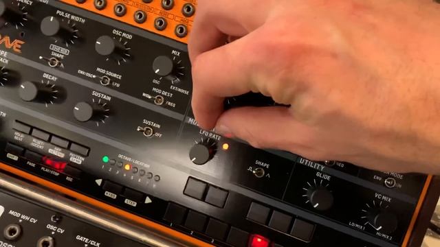 BEHRINGER CRAVE PRO-1 & RD-8 DEMO
