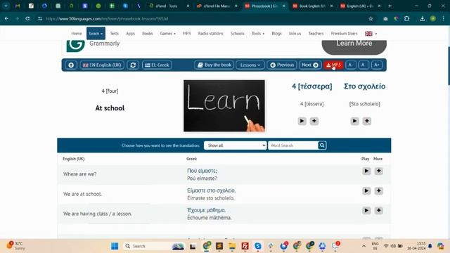 How to use phrasebook?