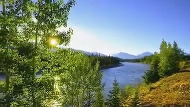 Утренний клип