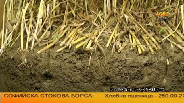 ДРУГАТА ТЕОРЕМА НА ПИТАГОР