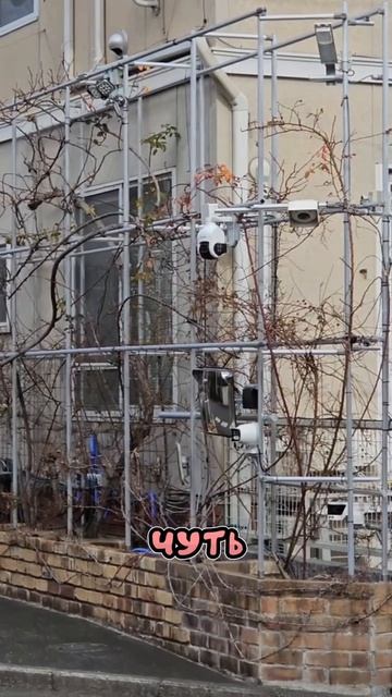 Как японцы заботятся о своей безопасности...