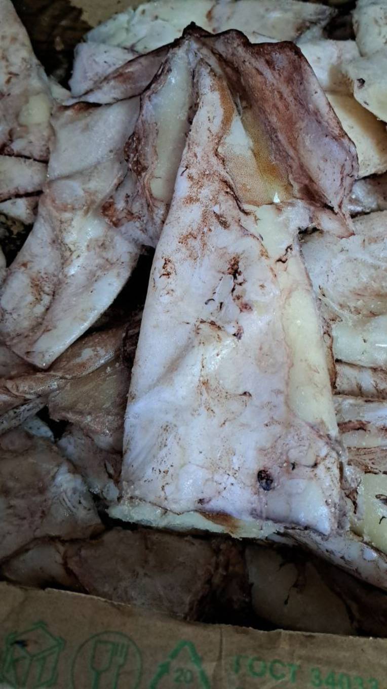 кальмар свежемороженый