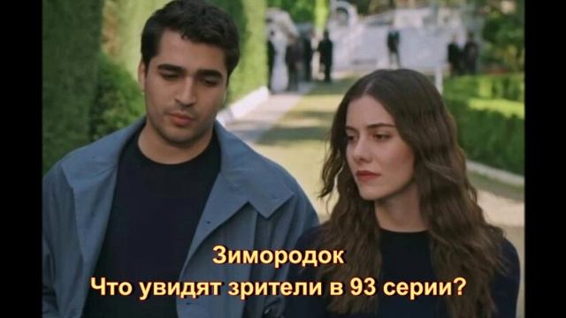 Обзор турецкого сериала "Зимородок" 93 серия