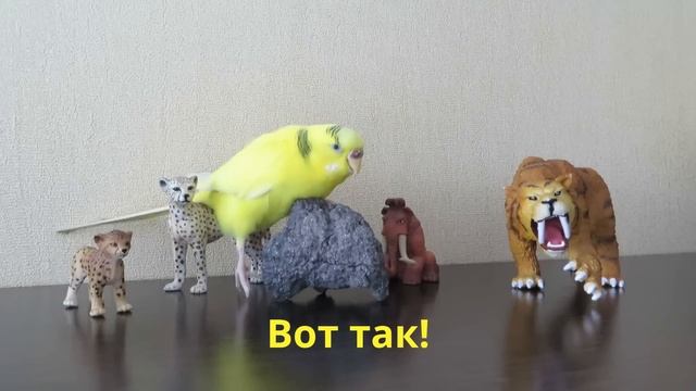 ПОДПИСКА - Как подписаться? Где-то там снизу кнопка! Её нужно нажать=)