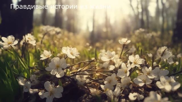🎒 Жена его собрала в командировку, а оказалось к любовнице,  но мужа ожидал сюрприз ...