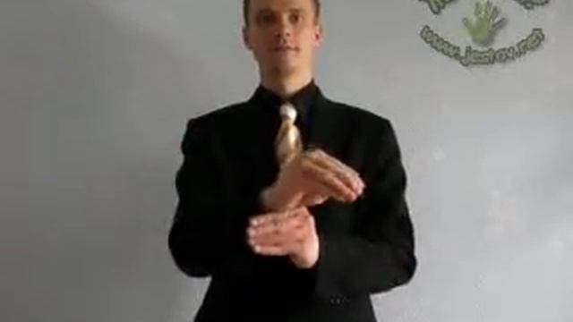 Дополнение (Русский Язык Жестов)