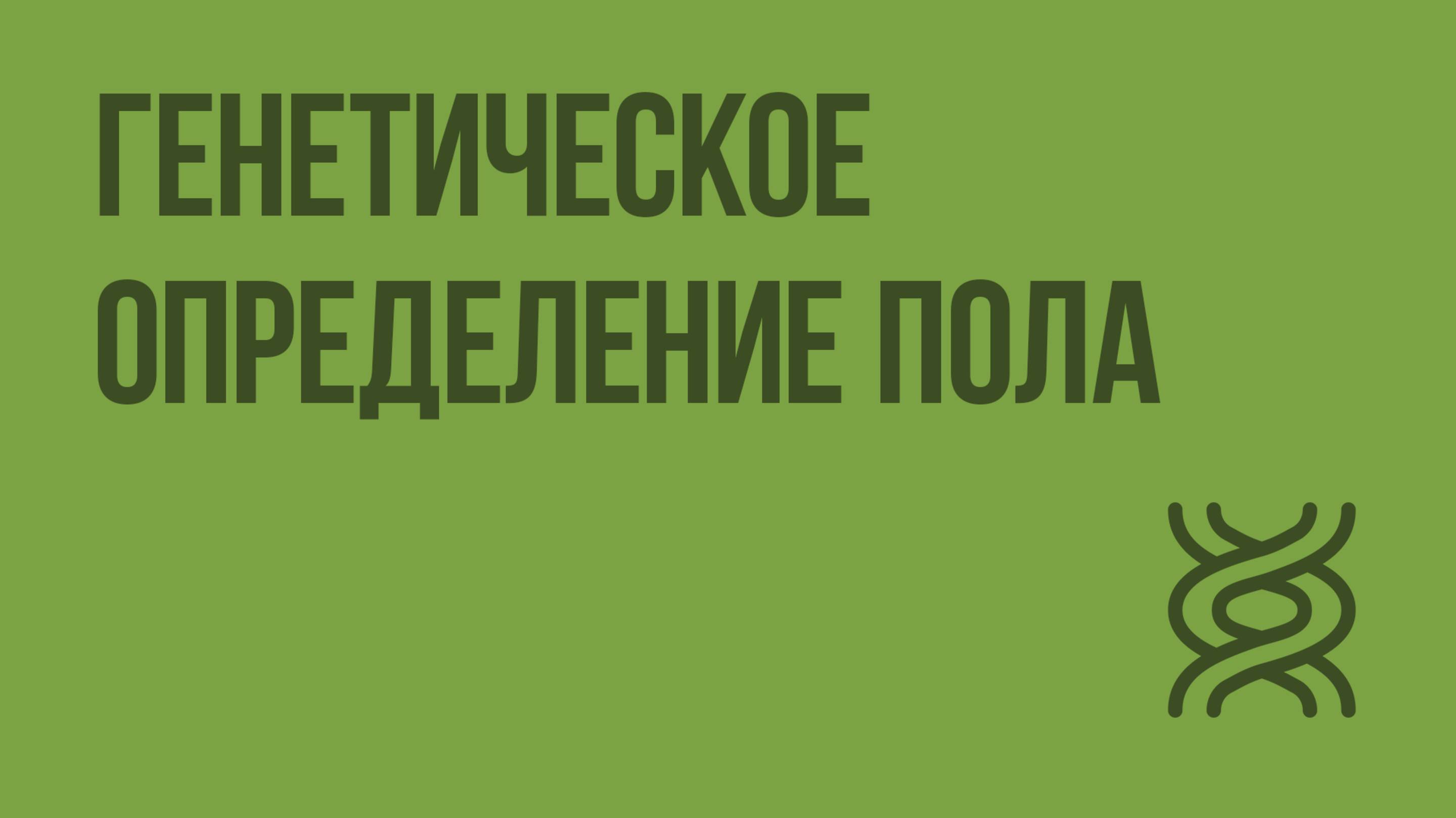 Генетическое определение пола. Видеоурок по биологии 10 класс