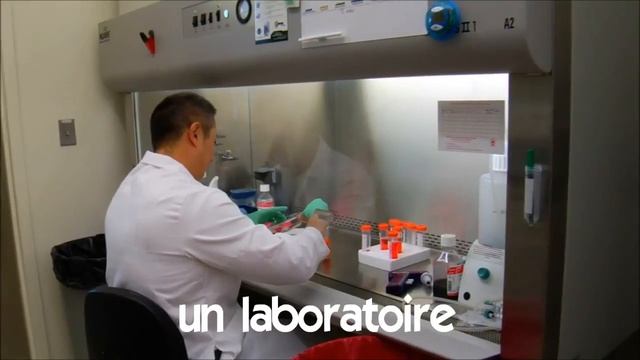 Французский язык для начинающих # Vocabulaire # un laboratoire