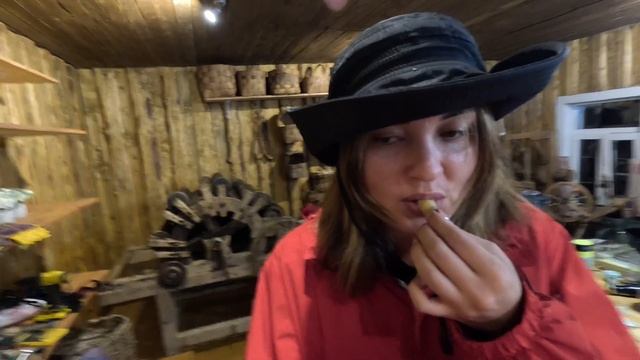 Сбор осенних дикоросов 2024