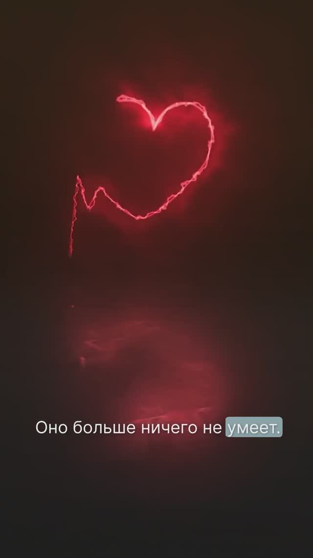Сердца нам выдали одинаковые...и эти сердца способны только любить ❤️