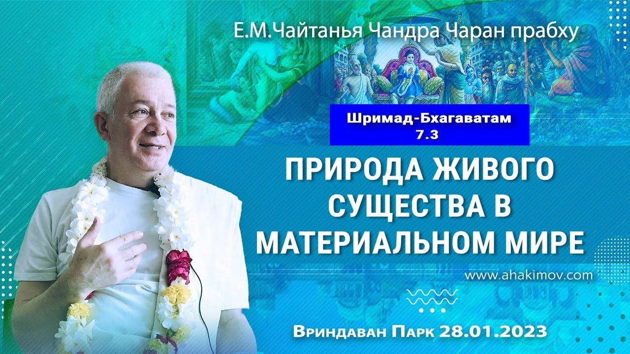28.01.2023, ШБ 7.3, Природа живого существа в материальном мире. Е.М. Чайтанья Чандра Чаран Прабху
