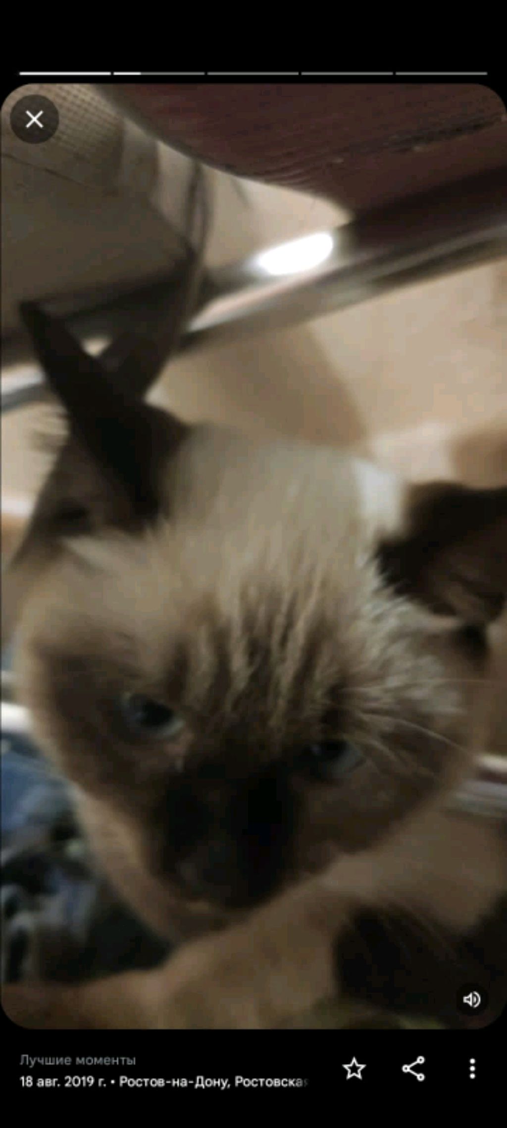 хз