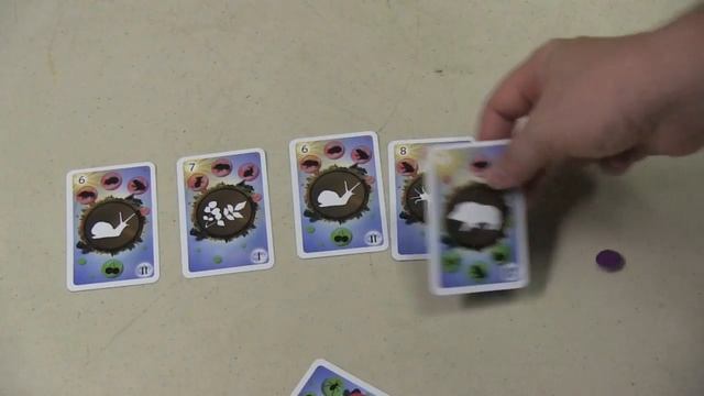 Food Chain Review - with Tom Vasel