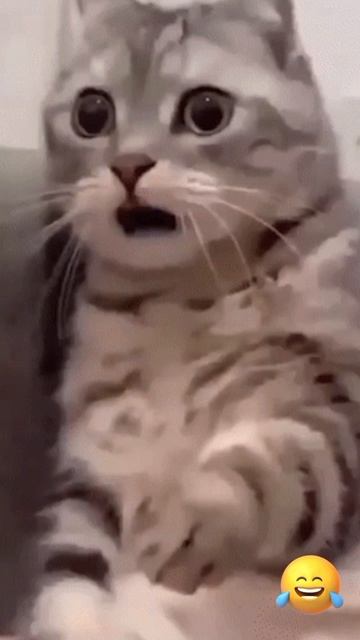 Когда муж рано вернулся с работы