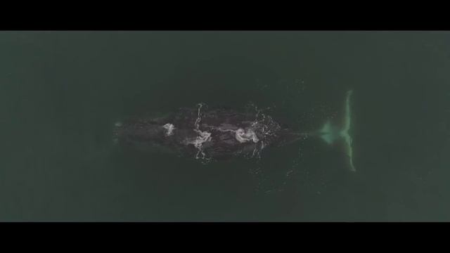 Сансара - "Облака"