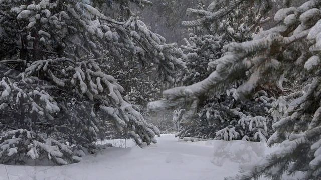 Зимняя страна чудес под спокойную расслабляющую музыку ☀️ Снятие стресса и комфорт