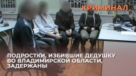 Подростки, избившие дедушку во Владимирской области, задержаны