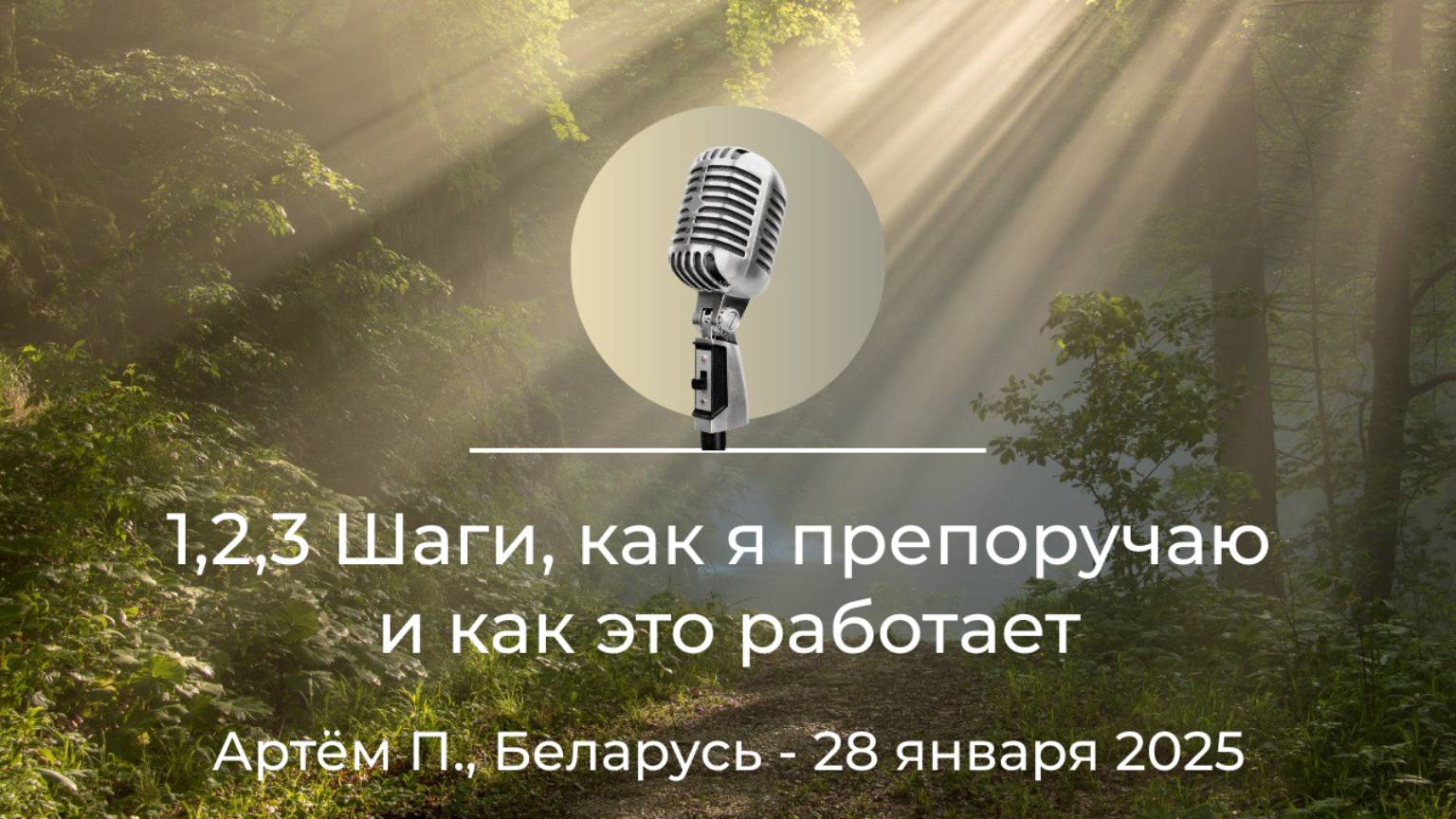 Спикерская АНЗ"1,2,3 шаги, как я препоручаю, и как это работает" Артём П., Беларусь, 28 января 2025