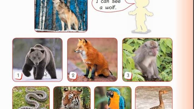 English 1 Start Up. We Can See a Wolf. pg.72- 73