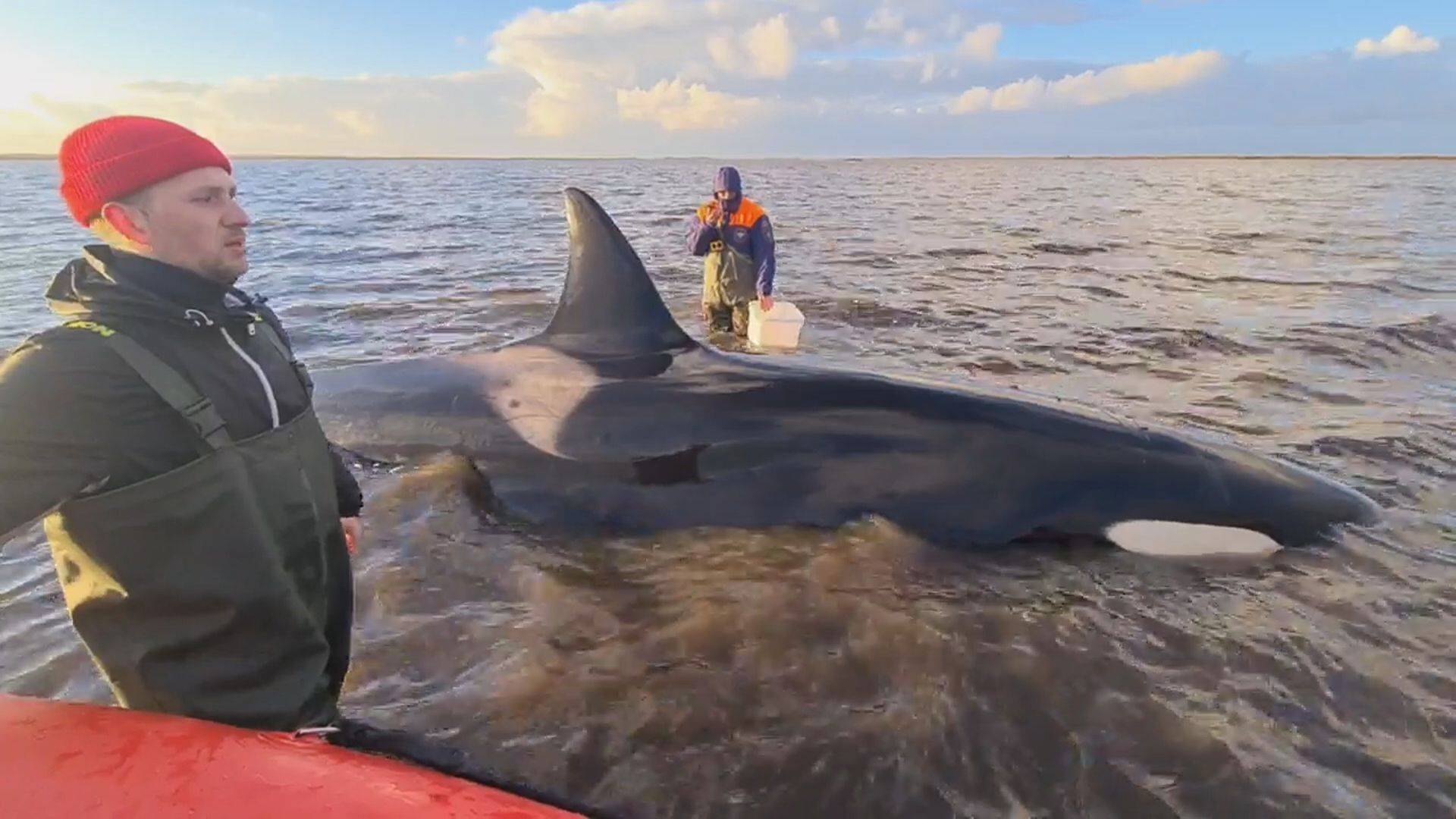 «В ОТВЕТЕ ЗА ТЕХ»