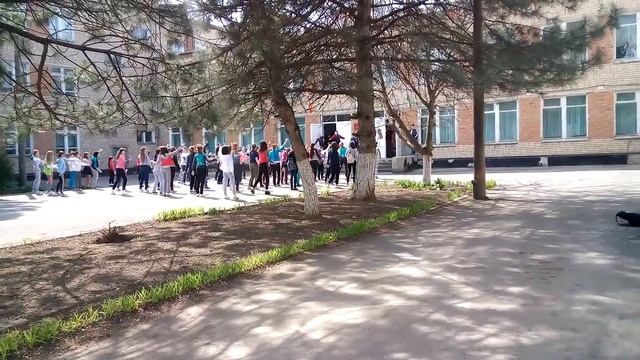 Флешмоб ШКОЛА 21 г Сальк