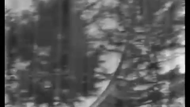 Москва ~ 1960 (YG  