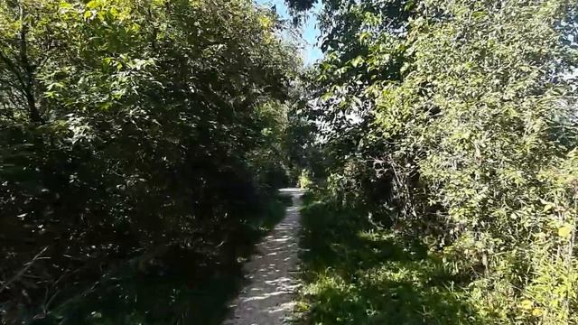 Любовь внутри. Стихотворение Бадхи. Читает автор.