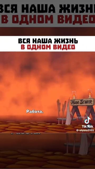 28-01-2025