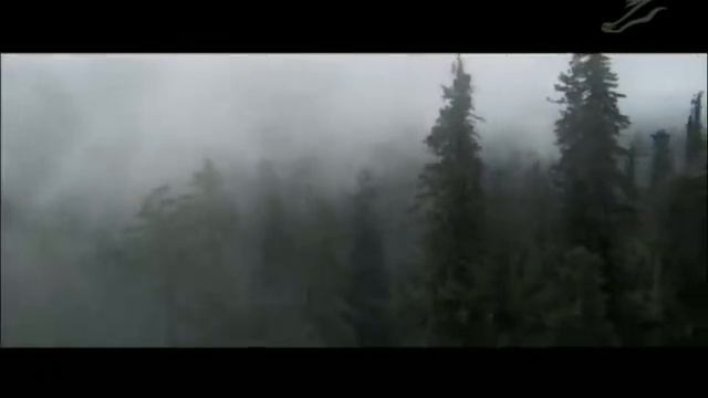 Один шанс из миллионов