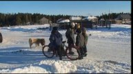 Прикосновение медведя ч 3