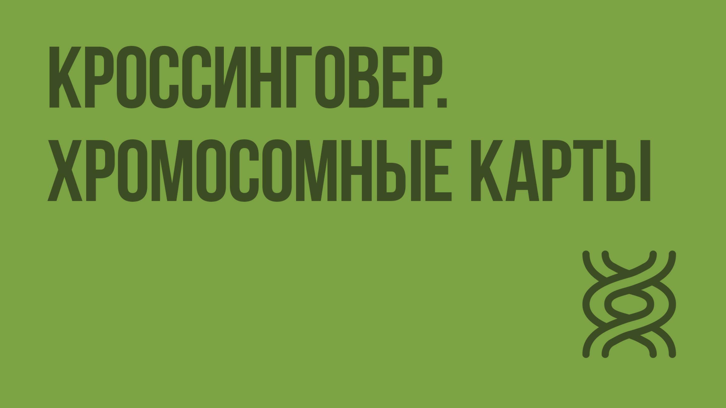 Кроссинговер. Хромосомные карты. Видеоурок по биологии 10 класс