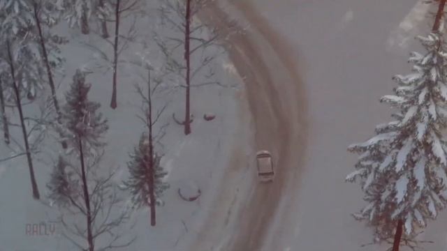 Первый этап виртуального чемпионата по ралли Dirt2.0