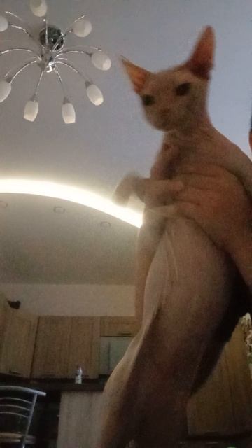 танцы