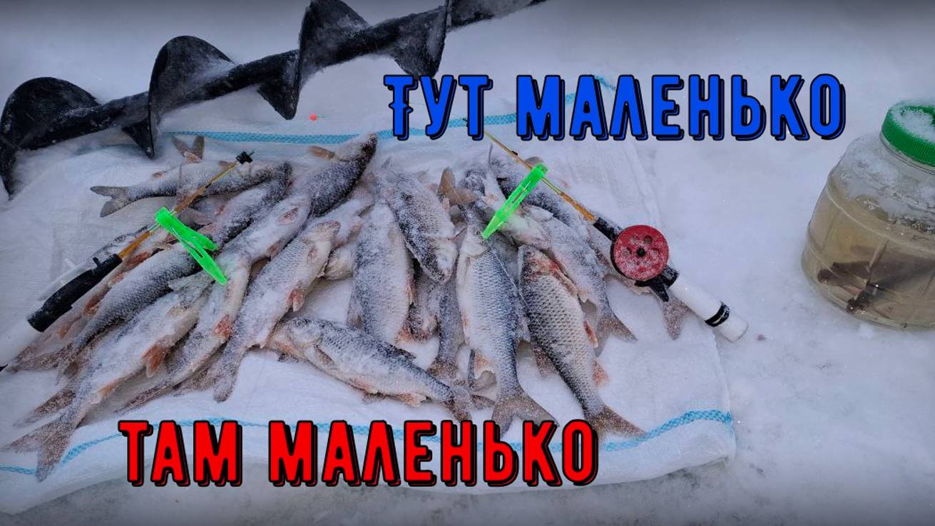 Приходится бегать по речке искать рыбу