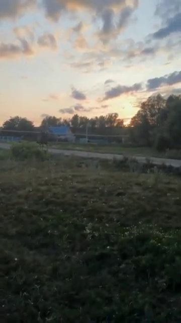 23 августа 2023 г..mp4